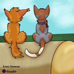 Hermitclan RancherDuo